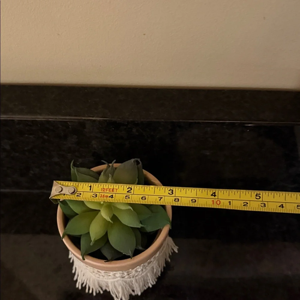 Two fake succulent plants in pots home or dorm decor